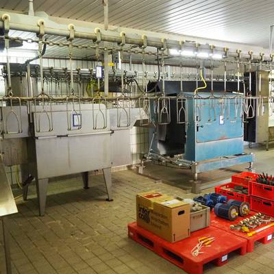 Poultry slaughtering, plucking and processing line